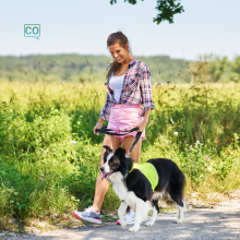  Wandelen (wandelen) - Werkwoordsvervoeging en oefeningen