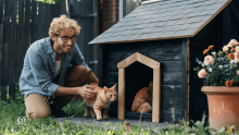 Nederlands A1.31: Ons huis