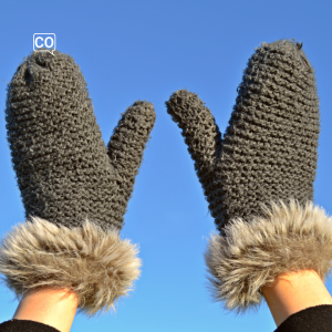  De handschoenen: De handschoenen (Nederlands)