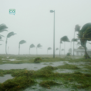  De storm: De storm (Nederlands)