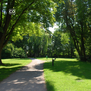  Het park: Het park (Nederlands)