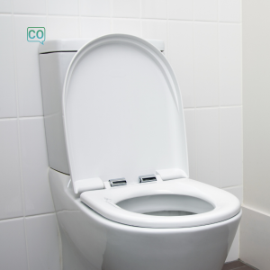  Het toilet: Het toilet (Nederlands)