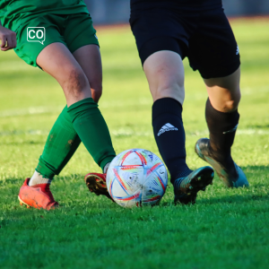  Het voetbal: Het voetbal (Nederlands)