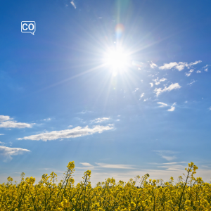  Zonnig: Zonnig (Nederlands)